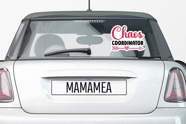 Chaos coordinator SVG Angelina750 