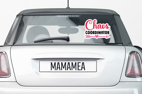 Chaos coordinator SVG Angelina750 