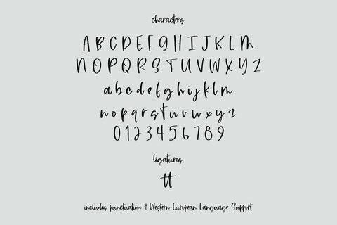 Chaotic Script Font Beck McCormick 