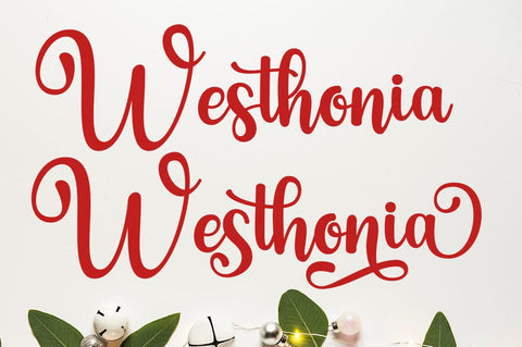 Charistina Script Font muhammadzeky 