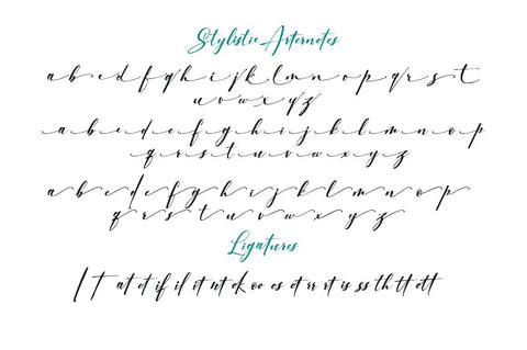 Charlotte Font PolemStudio 