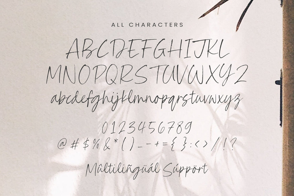 Charlotte Signature - Quirky Handwritten Script Font - So Fontsy