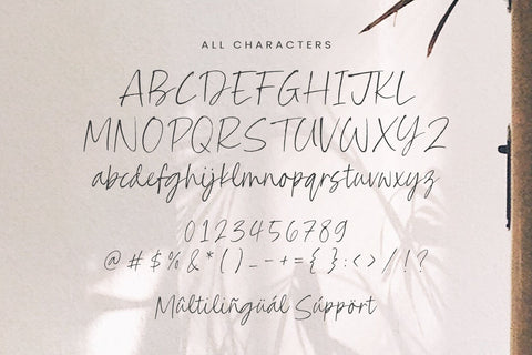 Charlotte Signature - Quirky Handwritten Script Font Font Timur type 