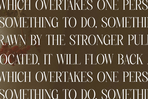 Charthe Modern Font Serif Font Storytype Studio 