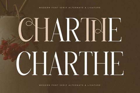 Charthe Modern Font Serif Font Storytype Studio 