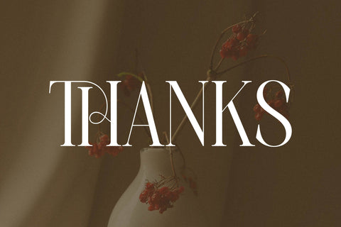 Charthe Modern Font Serif Font Storytype Studio 