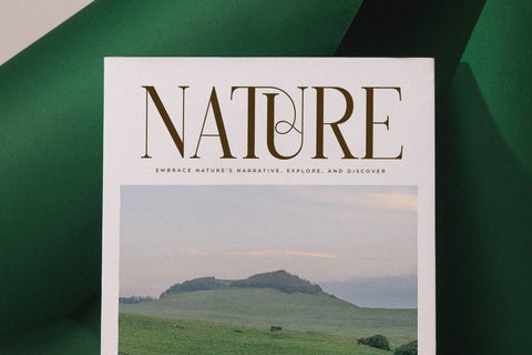 Charthe Modern Font Serif Font Storytype Studio 