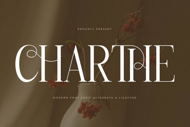 Charthe Modern Font Serif Font Storytype Studio 