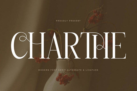Charthe Modern Font Serif Font Storytype Studio 