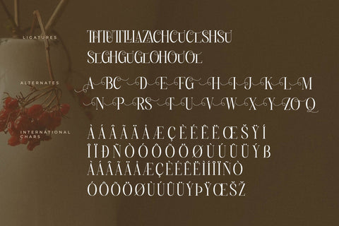 Charthe Modern Font Serif Font Storytype Studio 