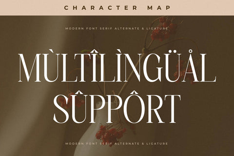 Charthe Modern Font Serif Font Storytype Studio 