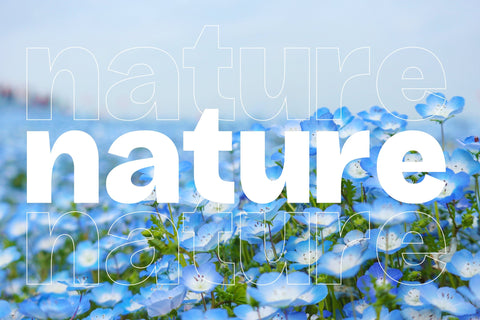 Chase Dreams - Display Sans Serif Font Font Letterena Studios 