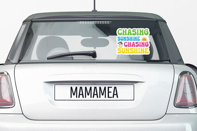 Chasing Sunshine SVG Angelina750 