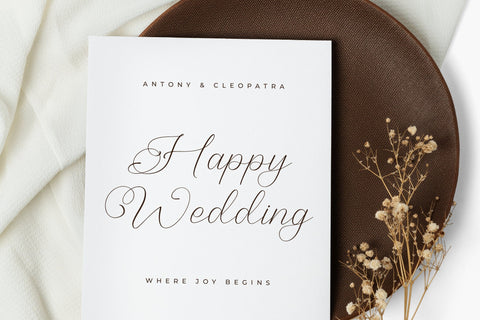 Cheline Galina - Modern Beauty Calligraphy Font Letterena Studios 