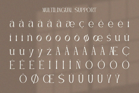 Chelmsford - Display Serif Font Font Alpaprana Studio 