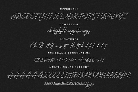 Chemistry Signature Font Font Heinzel Studio 