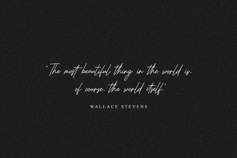 Chemistry Signature Font Font Heinzel Studio 