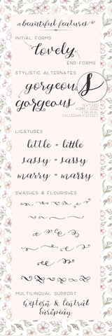 Cherokee Rose Calligraphy Script Font Beck McCormick 