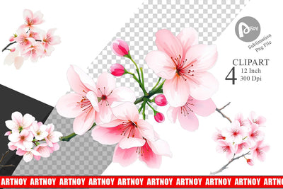 Cherry blossoms Clipart Sublimation artnoy 