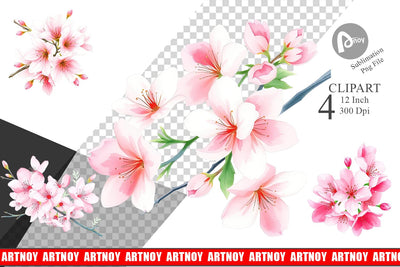 Cherry blossoms Clipart Sublimation artnoy 