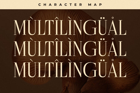 Cholten Typeface Font Storytype Studio 