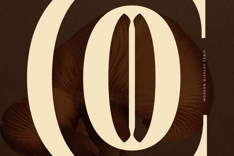 Cholten Typeface Font Storytype Studio 