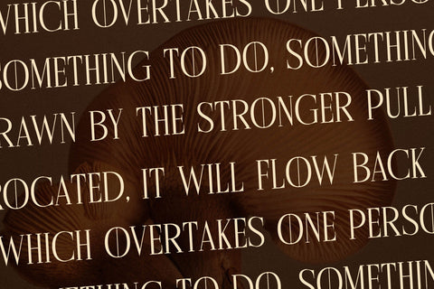 Cholten Typeface Font Storytype Studio 