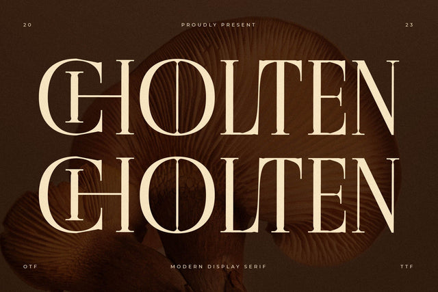 Cholten Typeface Font Storytype Studio 