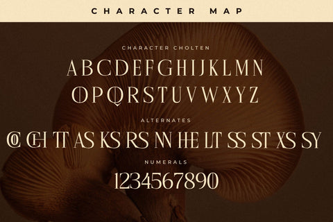 Cholten Typeface Font Storytype Studio 