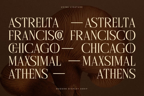 Cholten Typeface Font Storytype Studio 