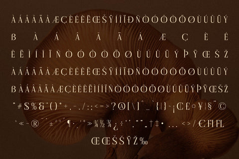 Cholten Typeface Font Storytype Studio 