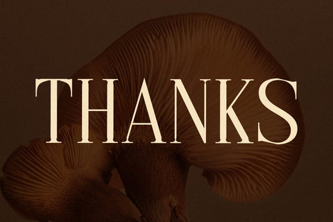 Cholten Typeface Font Storytype Studio 