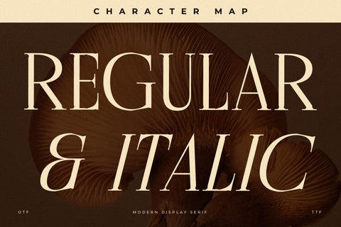 Cholten Typeface Font Storytype Studio 