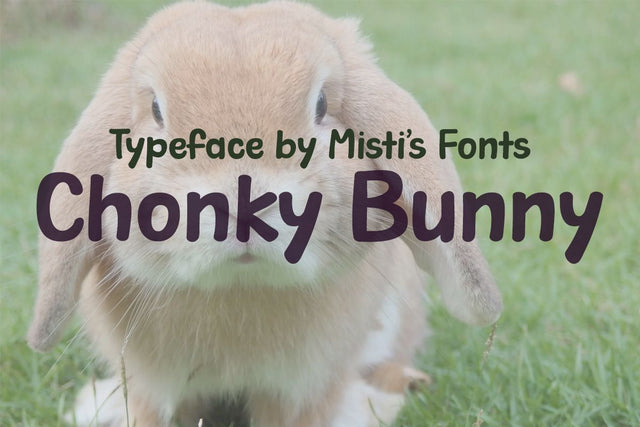 Chonky Bunny Font Misti's Fonts 