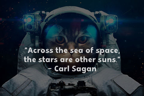 Chonky Cat Font Misti's Fonts 