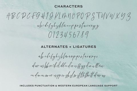 Christiana Script Font Beck McCormick 