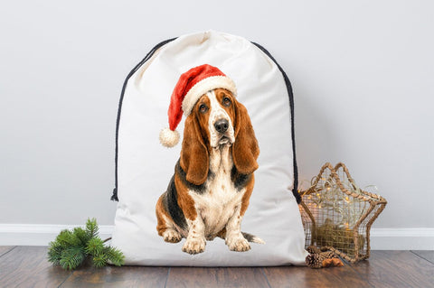 Christmas Basset Hound PNG, Santa Hat Dog Sublimation Pickled Thistle Creative 