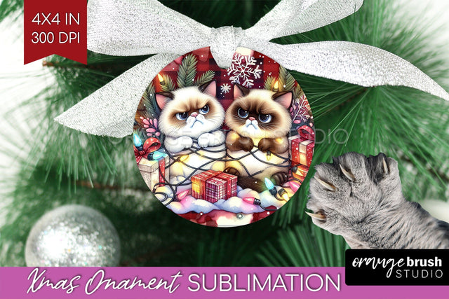 Christmas Cat Ornament PNG - Funny PNG Sublimation Sublimation OrangeBrushStudio 
