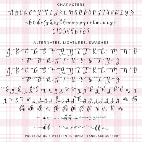 Christmas Cheer Script Font Beck McCormick 