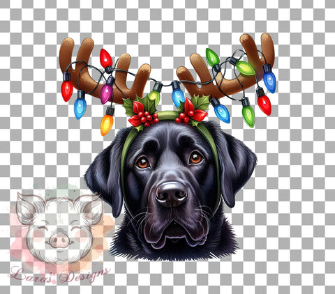 Christmas Dog, Dog PNG, Dog Sublimation, Holiday Dog, Christmas Clipart, Dog Lover Gift, Digital Download, Pet PNG Sublimation Lara' s Designs 