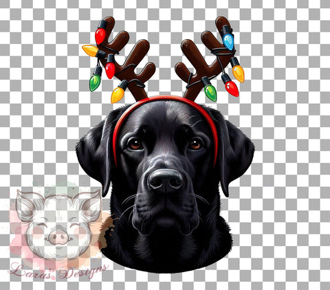 Christmas Dog, Dog PNG, Dog Sublimation, Holiday Dog, Christmas Clipart, Dog Lover Gift, Digital Download, Pet PNG Sublimation Lara' s Designs 