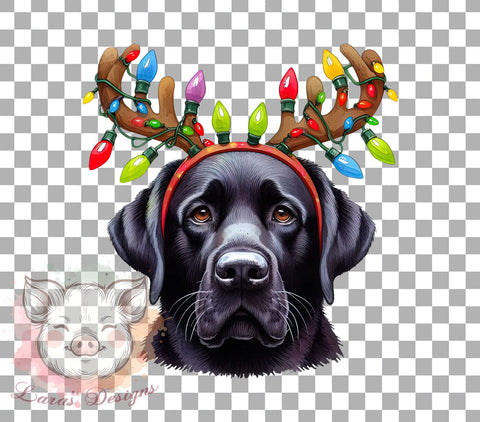 Christmas Dog, Dog PNG, Dog Sublimation, Holiday Dog, Christmas Clipart, Dog Lover Gift, Digital Download, Pet PNG Sublimation Lara' s Designs 