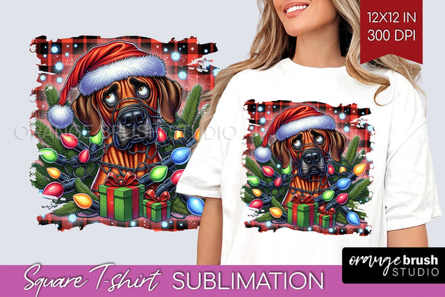 Christmas Dog Square Tshirt PNG Sublimation OrangeBrushStudio 