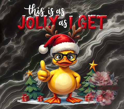 Christmas Duck, Funny Christmas, Sarcastic Holiday, Duck PNG, Digital Download, Sublimation Design, Holiday Decor, Quirky Christmas Sublimation Li Zamperini 
