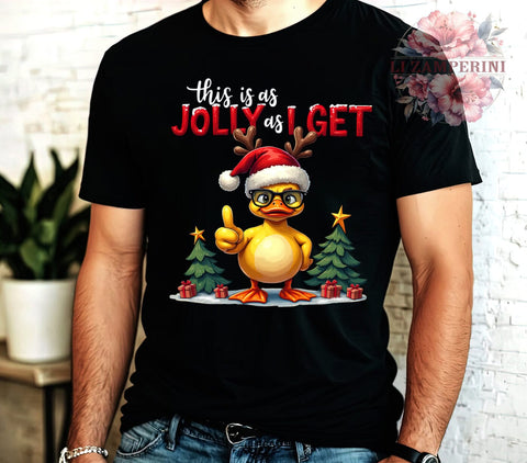 Christmas Duck, Funny Christmas, Sarcastic Holiday, Duck PNG, Digital Download, Sublimation Design, Holiday Decor, Quirky Christmas Sublimation Li Zamperini 