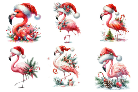 Christmas Flamingo Sublimation Clipart Sublimation designartist 