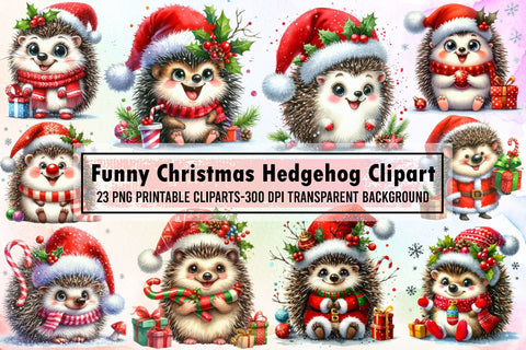 Christmas Hedgehog Sublimation Clipart Sublimation designartist 