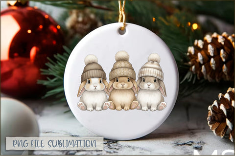 Christmas Ornament PNG Bundle Sublimation Shetara Begum 