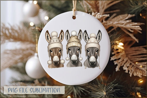 Christmas Ornament PNG Bundle Sublimation Shetara Begum 