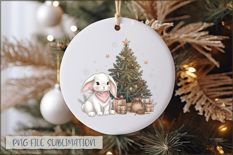 Christmas Ornaments PNG Bundle Sublimation Shetara Begum 